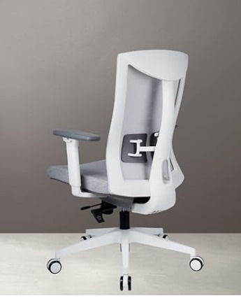 Silla de oficina ergonomica INNOWIN
