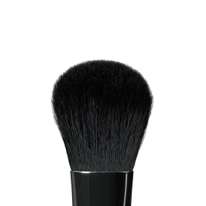 A19 Pro Brush Blush