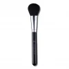 A19 Pro Brush Blush