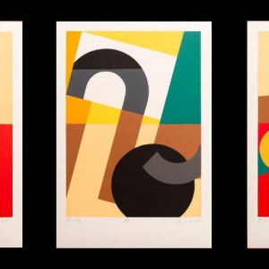 Serie Fibonacci seccionado - Dennis Leder