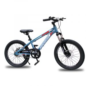 BICI MTB20 DIAMOND STEEL MTS1.0