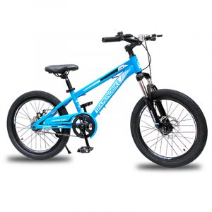 BICI MTB20 DIAMOND STEEL MTS1.0
