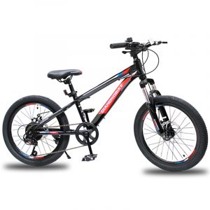 BICI MTB20 DIAMOND ALLOY MTA300