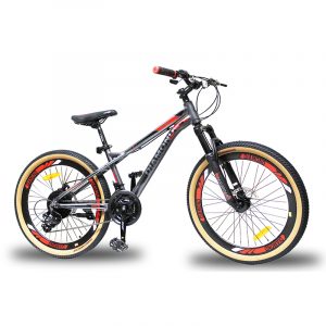 BICI MTB26 DIAMOND ALLOY QUICK