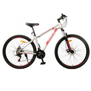 BICI MTB29 DIAMONDBIKE STEEL