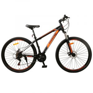 BICI MTB29 DIAMONDBIKE STEEL
