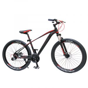 BICI MTB26 DMDBIKE FOREVER