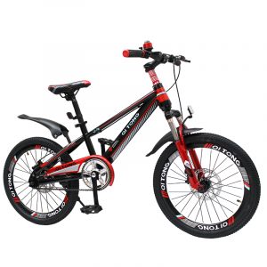 BICI MTB20 QITONG