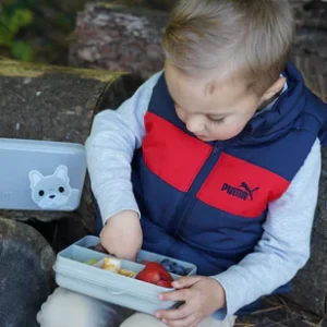 Snackle Box Mini 6 Compartimentos