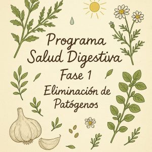 PROGRAMA DIGESTIVO FASE #1