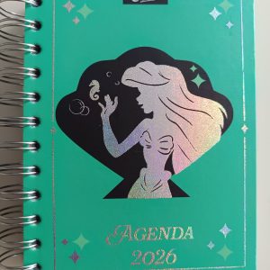 Mini Agenda U-PAK Disney Princesa