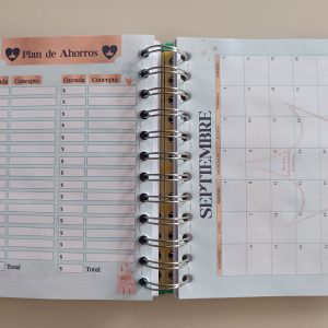 Mini Agenda Princesas Disney U-PAK