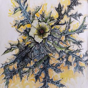 Flor silvestre