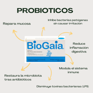🌿 Kit Antiinflamatorio – Biogaia Gastrus + Omega 3