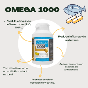 🌿 Kit Antiinflamatorio – Biogaia Gastrus + Omega 3