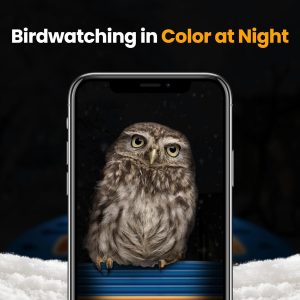 Comedero inteligente para pájaros con cámara, cámara de alimentación de pájaros UHD de 2.5 K con energía solar, identificación AI sensible, video de captura de alertas instantáneas