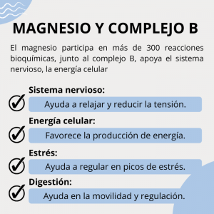 Magnesio MGB – Tegor (60 comprimidos bucodispersables)