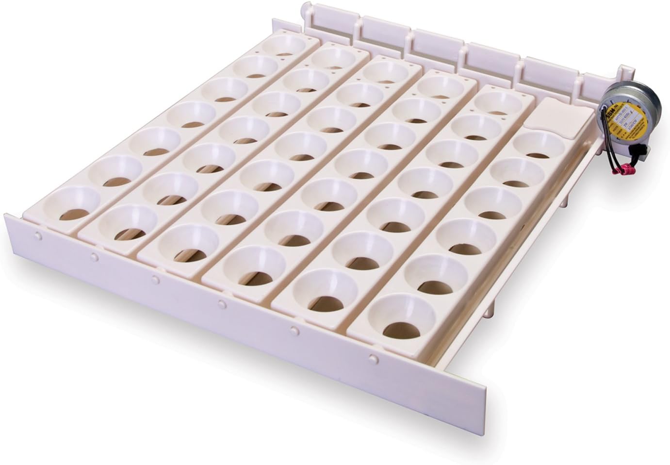 Little Giant® Volteador automático de huevos | 41 huevos | Euipment para incubar huevos grandes | Pollos para incubar