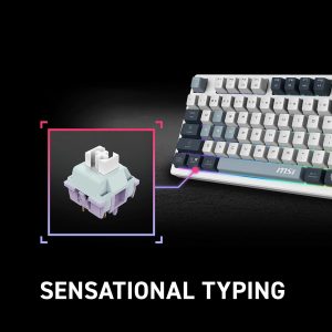 msi Forge GK600 TKL Wireless Sky - Mechanical Linear SWITCHES - Dye-Sublimated PBT Keycaps, Anti-Slip Base, RGB LED, USB 2.0, Bluetooth, 2.4 GHz - Tenkeyless