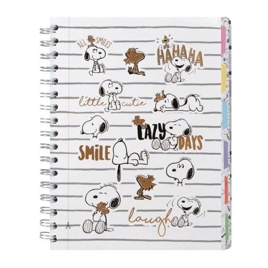PLANEADOR PRIMAVERA SNOOPY