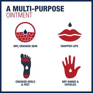 Aquaphor Healing Ointment, Advanced Therapy Skin Protectant, Dry Skin Body Moisturizer, Multi-Purpose Healing Ointment, For Dry, Cracked Skin & Minor Cuts & Burns, 14 Oz Jar (Pack of 12)