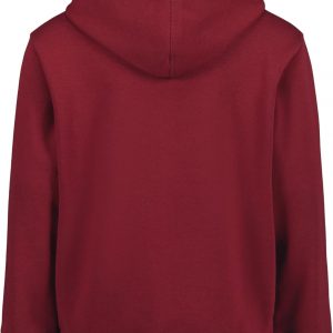 Tommy Hilfiger Sudadera con capucha de manga larga de forro polar para niños