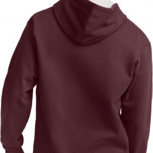 Champion Men's Pullover Fleece Hoodie, Midweight, C Logo (Reg. Or Big & Tall)