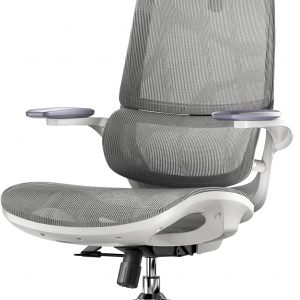 SIHOO M59AS Ergonomic Office Chair, Desk Chair with 3D Flip-up Armrests, Computer Chair with Dual Back Design and Adaptive Dynamic Lumbar Support