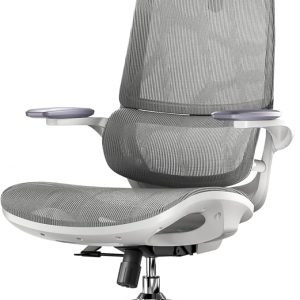 SIHOO M59AS Ergonomic Office Chair, Desk Chair with 3D Flip-up Armrests, Computer Chair with Dual Back Design and Adaptive Dynamic Lumbar Support