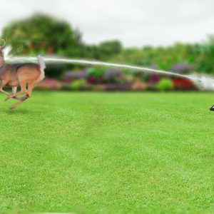 Motion Activated Sprinklers for Yard - Effective Deer & Cat Repellent, Skunk Deterrent, Raccoon & Dog Repellent, Lawn Sprinkler System, Water Sprinkler for Lawn Protection
