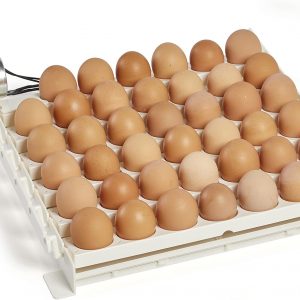 Farm Innovators 3200 - Girador automático de huevos de 41 puntos para la parte inferior de las incubadoras para eliminar el manejo manual y mejorar la tasa de eclosión, color blanco (paquete de 4)