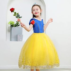 BanKids Princess Dresses for Girls Snow Costume Kids Birthday Party Halloween Costume Dress up 3-10Years