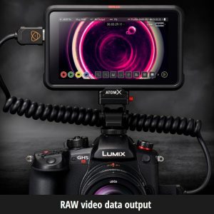 PANASONIC LUMIX GH5s Cuerpo C4K Cámara sin espejo, alta sensibilidad MOS Multi-Aspect 10.2 megapíxeles, C4K / 4K UHD 422 10-bit, DC-GH5S (certificado reacondicionado)