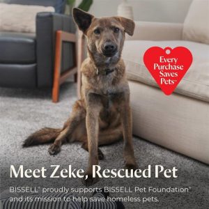 BISSELL Little Green Pet Pro - Limpiador profundo portátil para alfombras y tapicería, con detalle para autos/coches, autolimpiante para manchas difíciles, remoción de pelo de mascotas, herramienta