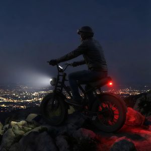 Likebike U12 Electric Bike for Adults, 2000W Peak 32MPH 20" Fat Tire Ebike, 20Ah Removable Battery 7-Speed Gear Full Suspension Mountain Bike Off Road Hydraulic Disc Brake