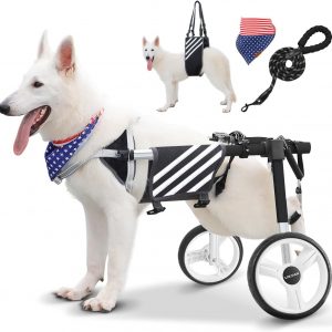 Large Dog Wheelchair for Back Legs with Multi-Function Pet Lift, Wheelchair for Dogs Thickened, Adjustable Back Leg Dogs Wheel Chair, Dog Carts with Wheels for Disabled Hind Legs (Black-XXL)