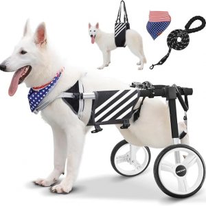 Large Dog Wheelchair for Back Legs with Multi-Function Pet Lift, Wheelchair for Dogs Thickened, Adjustable Back Leg Dogs Wheel Chair, Dog Carts with Wheels for Disabled Hind Legs (Black-XXL)