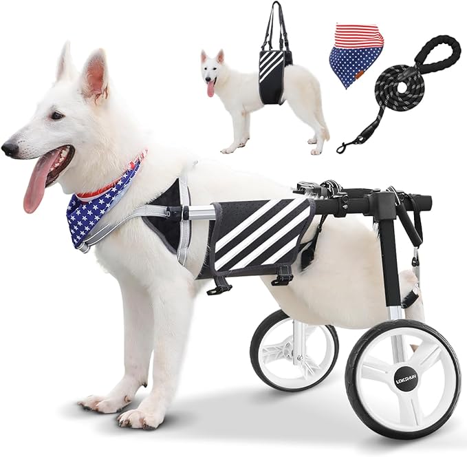 Large Dog Wheelchair for Back Legs with Multi-Function Pet Lift, Wheelchair for Dogs Thickened, Adjustable Back Leg Dogs Wheel Chair, Dog Carts with Wheels for Disabled Hind Legs (Black-XXL)