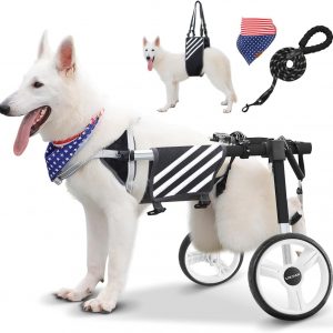 Large Dog Wheelchair for Back Legs with Multi-Function Pet Lift, Wheelchair for Dogs Thickened, Adjustable Back Leg Dogs Wheel Chair, Dog Carts with Wheels for Disabled Hind Legs (Black-XXL)