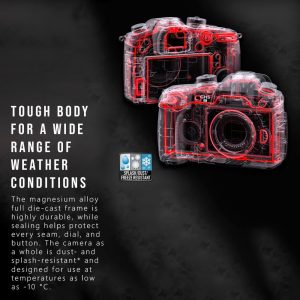 PANASONIC LUMIX GH5s Cuerpo C4K Cámara sin espejo, alta sensibilidad MOS Multi-Aspect 10.2 megapíxeles, C4K / 4K UHD 422 10-bit, DC-GH5S (certificado reacondicionado)