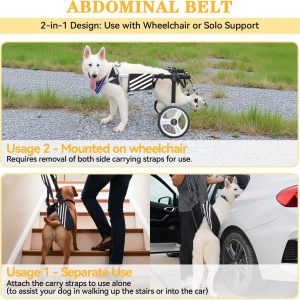 Large Dog Wheelchair for Back Legs with Multi-Function Pet Lift, Wheelchair for Dogs Thickened, Adjustable Back Leg Dogs Wheel Chair, Dog Carts with Wheels for Disabled Hind Legs (Black-XXL)