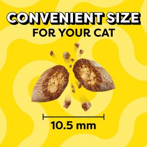 Temptations Cat Treats Classic Crunchy and Soft Cat Treats, Savory Salmon Flavor, 48 oz. Bag