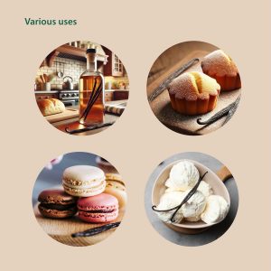 SANHA Madagascar - Granos de vainilla (25 unidades, grado A, seleccionados a mano), grano de vainilla orgánico (para extracto, hornear y cocinar) - 6-7 pulgadas, sellados al vacío (frescura prémium)