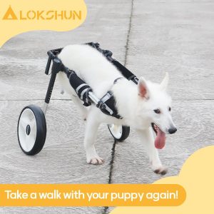 Large Dog Wheelchair for Back Legs with Multi-Function Pet Lift, Wheelchair for Dogs Thickened, Adjustable Back Leg Dogs Wheel Chair, Dog Carts with Wheels for Disabled Hind Legs (Black-XXL)