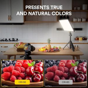 RALENO Panel de luz suave de video LED de 19.5 W, panel de cámara de 650 lux/m, batería incorporada de 8000 mAh, CRI>95 2500-6500K luces de estudio de fotografía para TikTok YouTube, grabación de