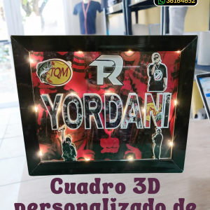 Cuadro 3D de Fuerza Regida