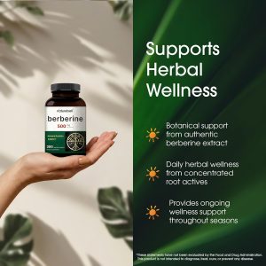 Suplemento de Berberina NatureBell 500mg | 300 Cápsulas Vegetarianas, 97% Berberina HCL Pura – Extracto de Raíz 5:1 – Basado en Plantas, Vegano, Sin OMG