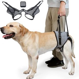 Arnés de elevación Cneo para perros, cabestrillo para perros medianos y grandes, arnés ajustable para perros para patas traseras, arnés para mascotas con diseño cómodo y acolchado para perros ancianos