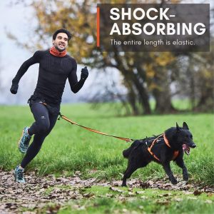 Non-stop dogwear Bungee Leash Elastic Dog Leash for Sports Like Running, Biking and Skiing with Dogs, Black/Orange, Size 2.0 m / 23 mm