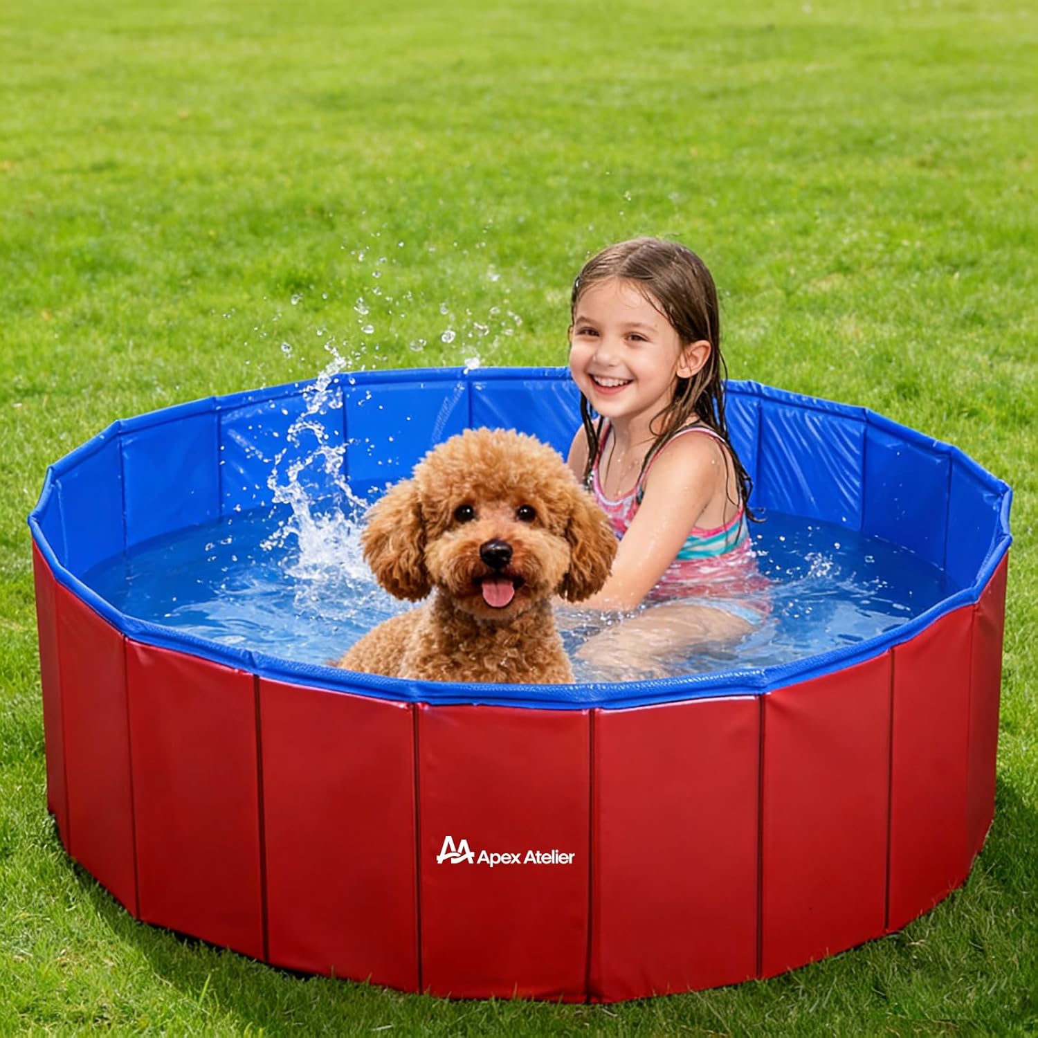 Foldable Dog Pool,pet Pool, Dog Swimming Pool,Collapsible Dog Bath Tub, Portable Pet Grooming Tub,M